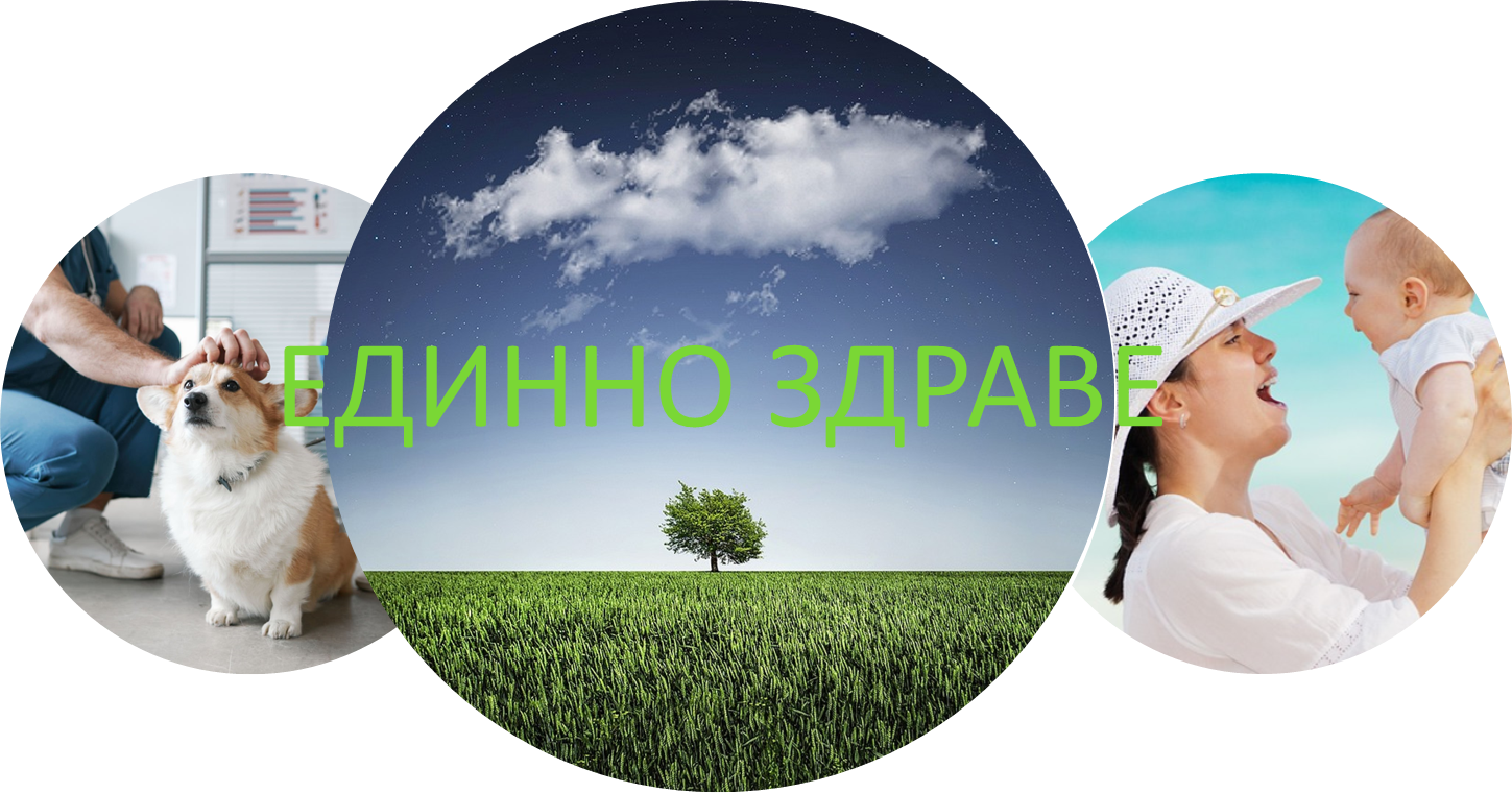 Концепция за интегрирани териториални инвестиции в Северозападния регион за планиране - Стратегия „Единно здраве“